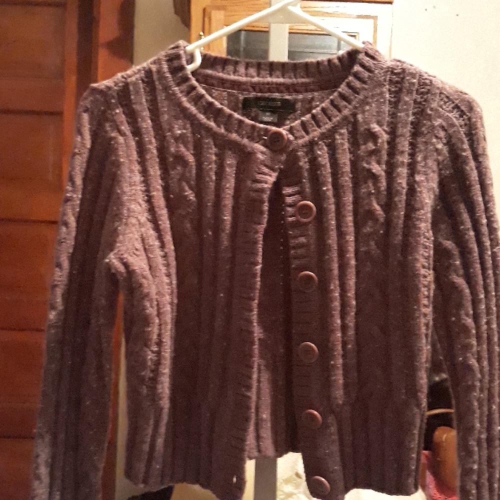 Express Crop sweater